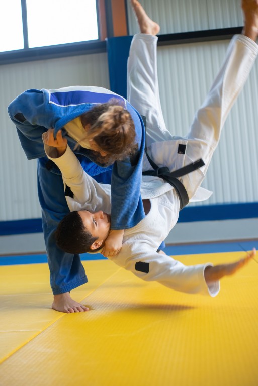 Judo - atterramento